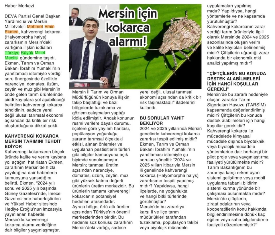 MERSİN İÇİN KOKARCA ALARMI! — gazete kupürü