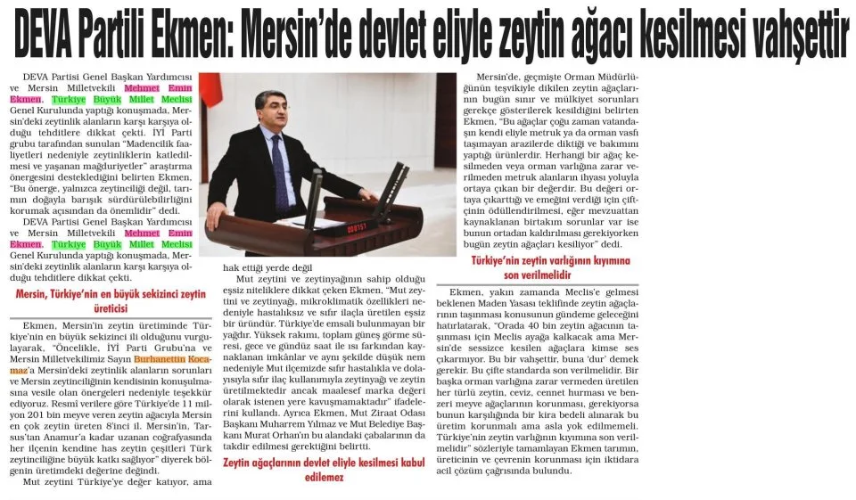 DEVA PARTİLİ EKMEN: MERSİN'DE DEVLET ELİYLE ZEYTİN AĞACI KESİLMESİ VAHŞETTİR — gazete kupürü
