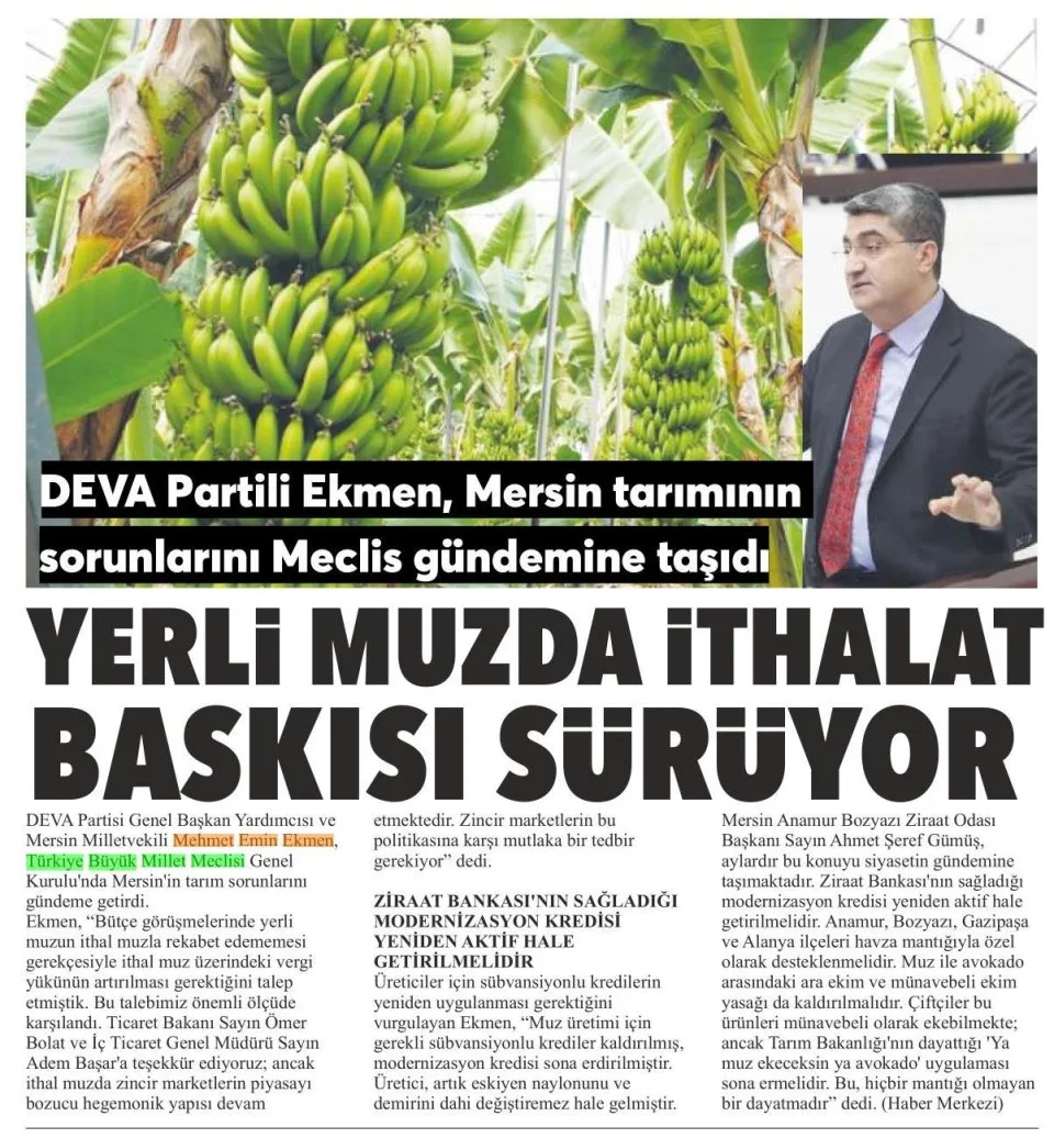 "YERLİ MUZDA İTHALAT BASKISI SÜRÜYOR" — gazete kupürü
