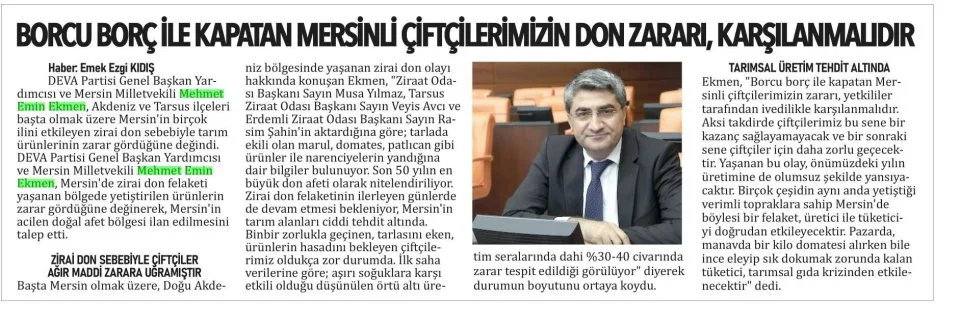 MERSİNLİÇİFTÇİLERİN DON ZARARI, KARŞILANMALIDIR — gazete kupürü