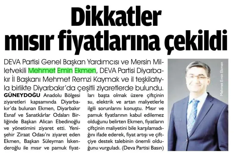 DİKKATLER MISIR FİYATLARINA ÇEKİLDİ — gazete kupürü
