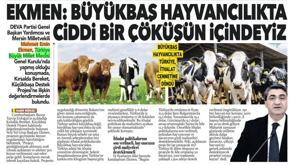BÜYÜKBAŞ HAYVANCILIKTA CİDDİ BİR ÇÖKÜŞÜN İÇİNDEYİZ — gazete kupürü