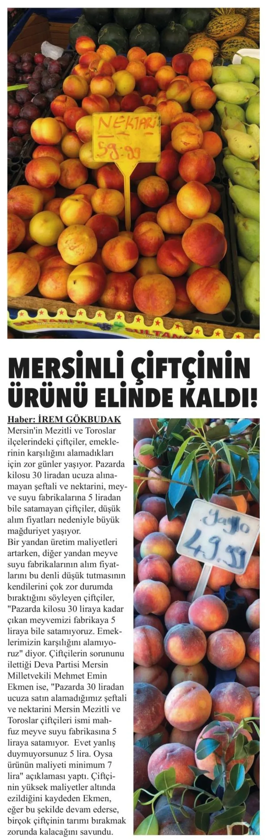 MERSİNLİ ÇİFTÇİNİN ÜRÜNÜ ELİNDE KALDI! — gazete kupürü
