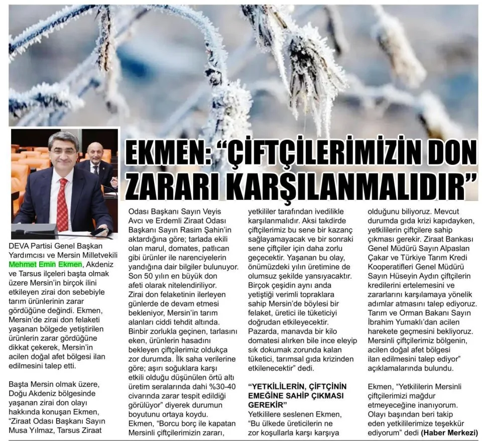 EKMEN : ''ÇİFTÇİLERİMİZİN DON ZARARI KARŞILANMALIDIR'' — gazete kupürü