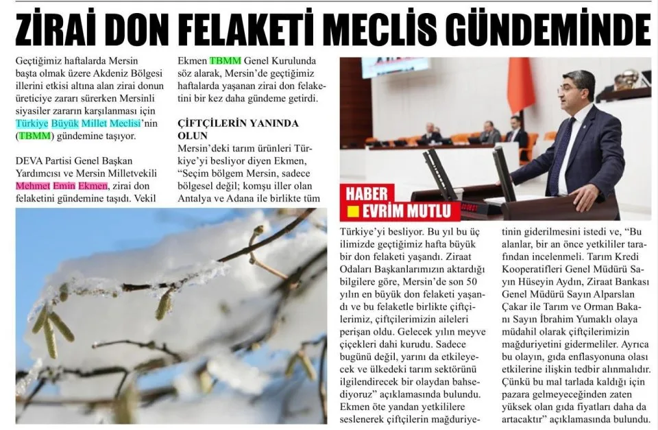 ZİRAİ DON FELAKETİ MECLİS GÜNDEMİNDE — gazete kupürü