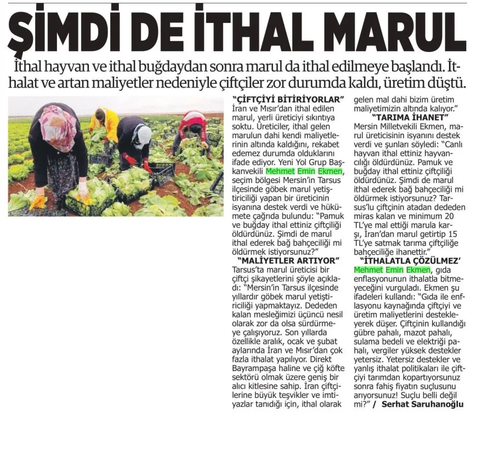ŞİMDİ DE İTHAL MARUL — gazete kupürü