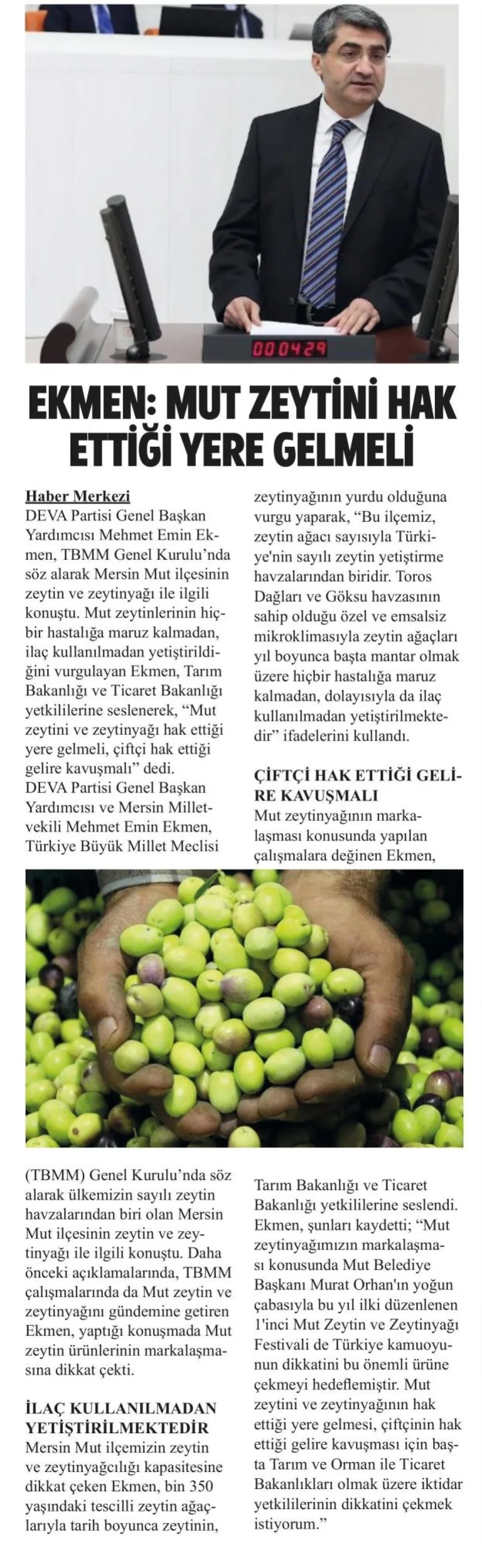 EKMEN : MUT ZEYTİNİ HAK ETTİĞİ YERE GELMELİ — gazete kupürü