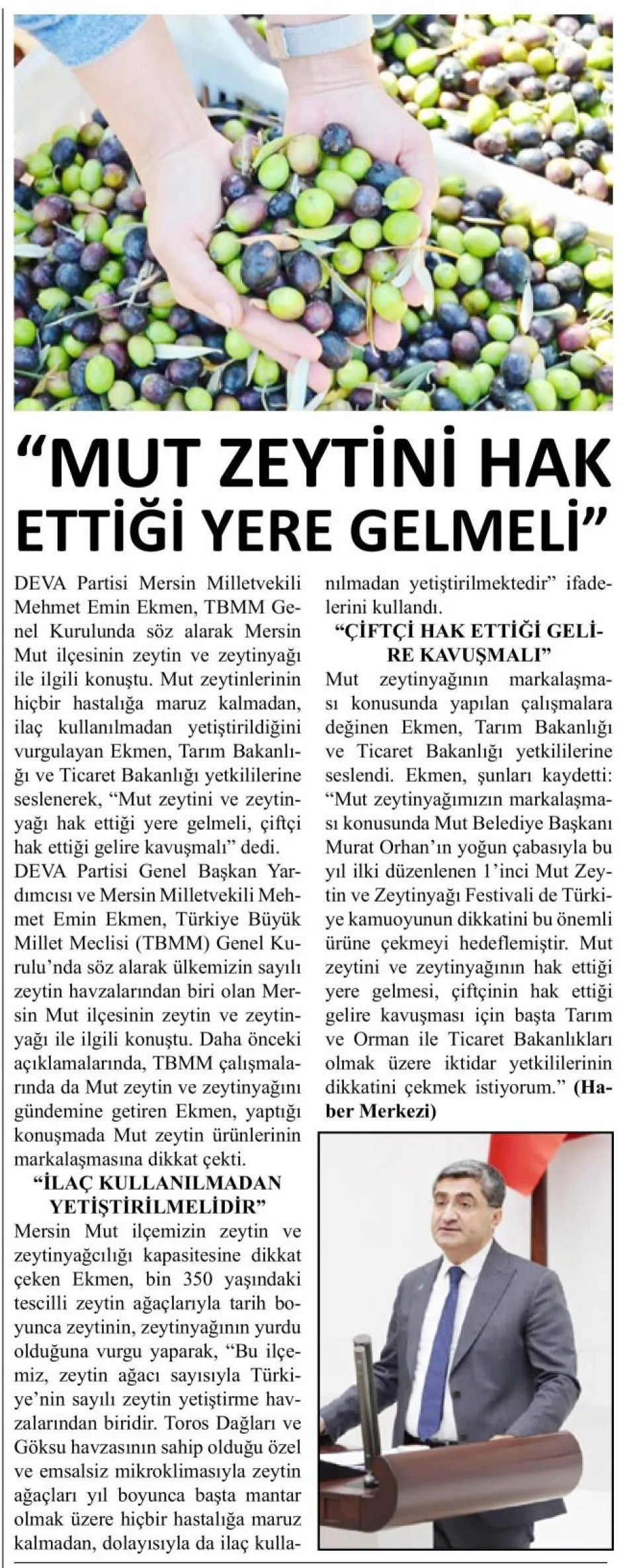 "MUT ZEYTİNİ HAK ETTİĞİ YERE GELMELİ" — gazete kupürü