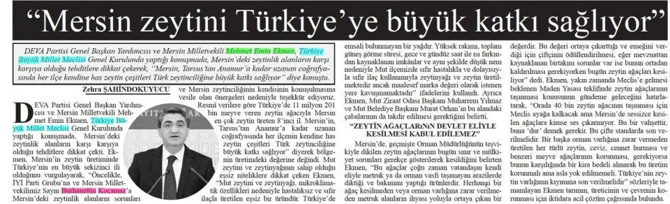 MERSİN ZEYTİNİ TÜRKİYE'YE BÜYÜK KATKI SAĞLIYOR — gazete kupürü