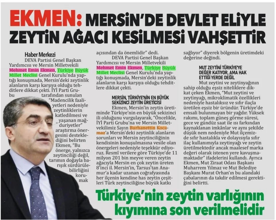 ZEYTİN AĞAÇLARIN KESİLMESİ VAHŞETTİR — gazete kupürü