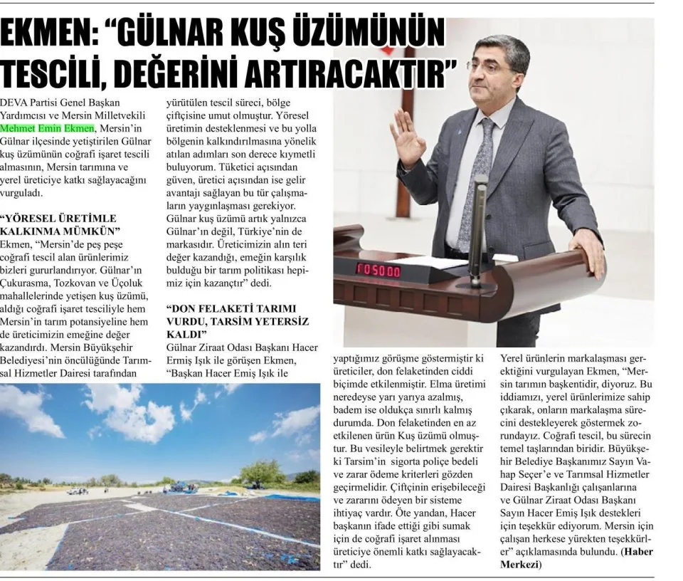 GÜLNAR KUŞ ÜZÜMÜ ARTIK TÜRKİYE'NİN MARKASI — gazete kupürü