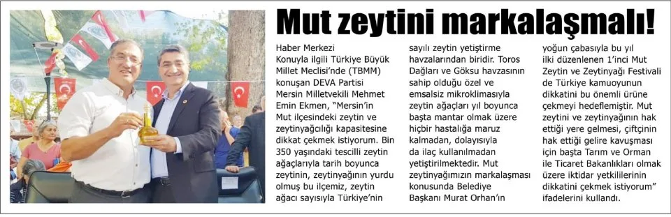 MUT ZEYTİNİ MARKALAŞMALI — gazete kupürü