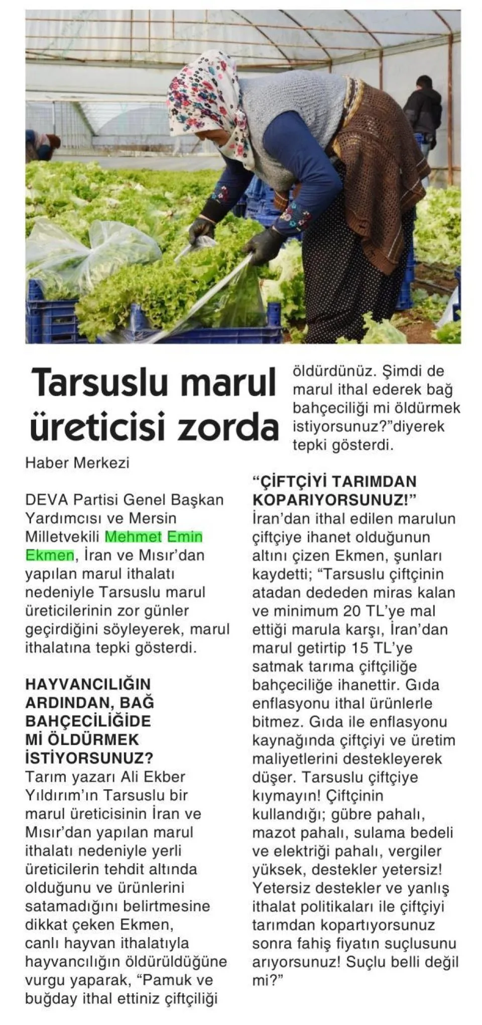 TARSUSLU MARUL ÜRETİCİSİ ZORDA — gazete kupürü