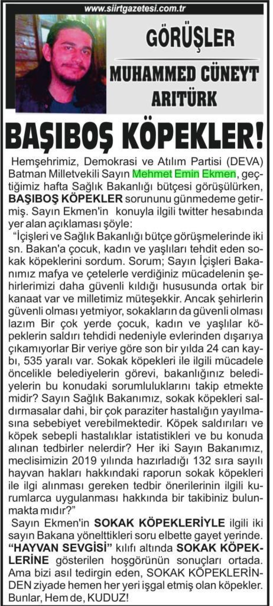 Başıboş Köpekler