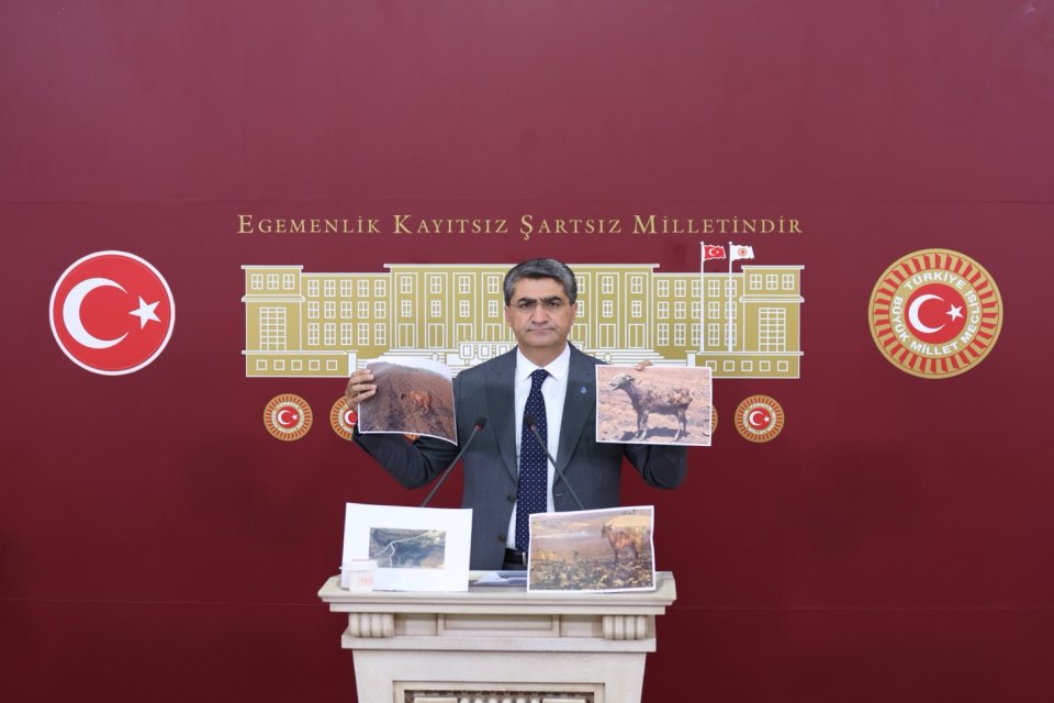 DEVA Partili Ekmen: “DEDAŞ yargı sürecini beklemeden tazminatları ödemeli, altyapıyı iyileştirmeli”